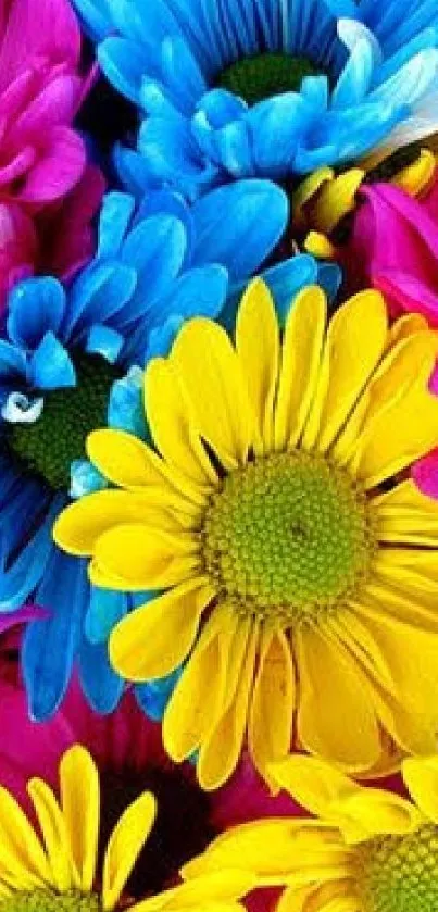 Colorful daisies in vibrant yellow, blue, and pink hues.