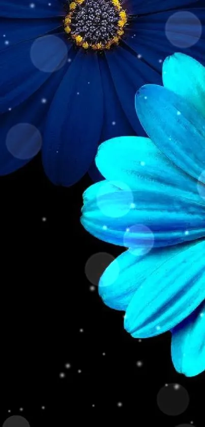 Blue and turquoise flowers on a black phone background.