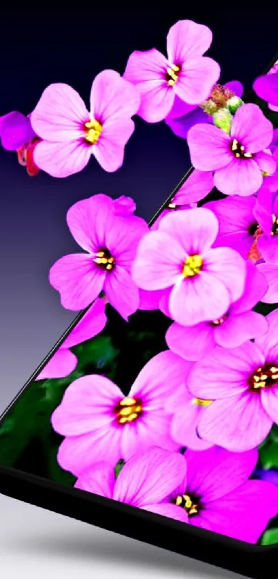 Vibrant pink flower wallpaper cascading over a phone screen.