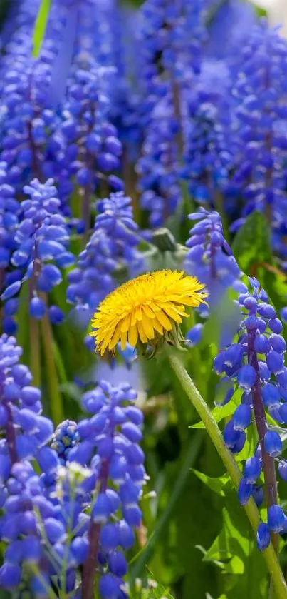 Vibrant wallpaper of blue and yellow flowers in a lush garden setting.