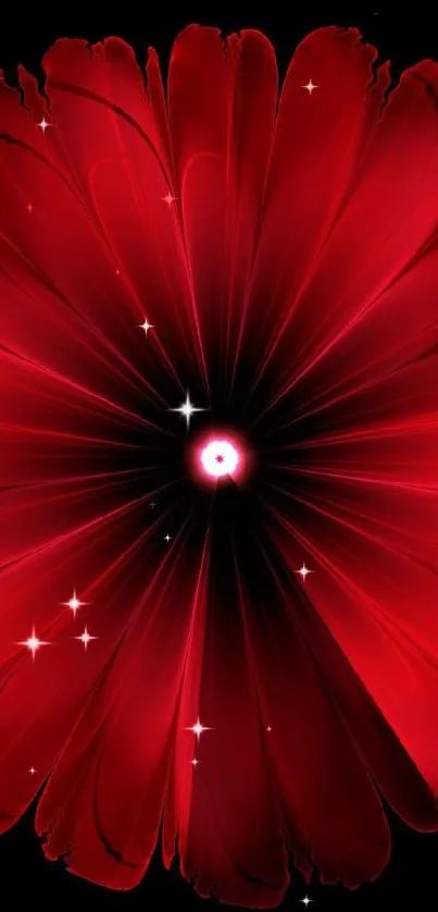 Vibrant abstract red flower wallpaper design.