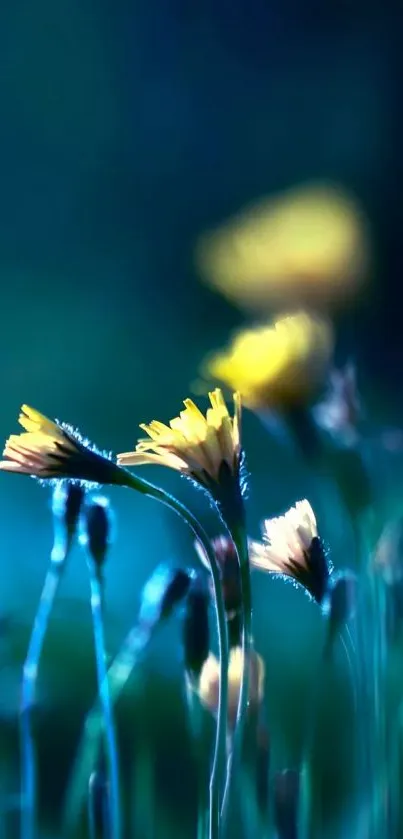 Yellow flowers with a blue background creating a serene phone wallpaper.