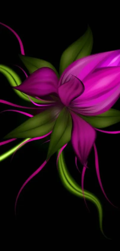 Vibrant pink and green floral design on a black background wallpaper.