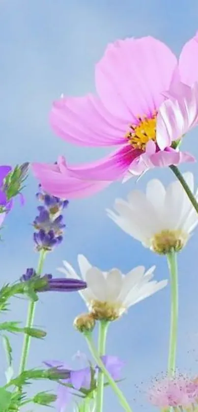 Vibrant pink, purple, and white flowers against a blue sky in a phone wallpaper.