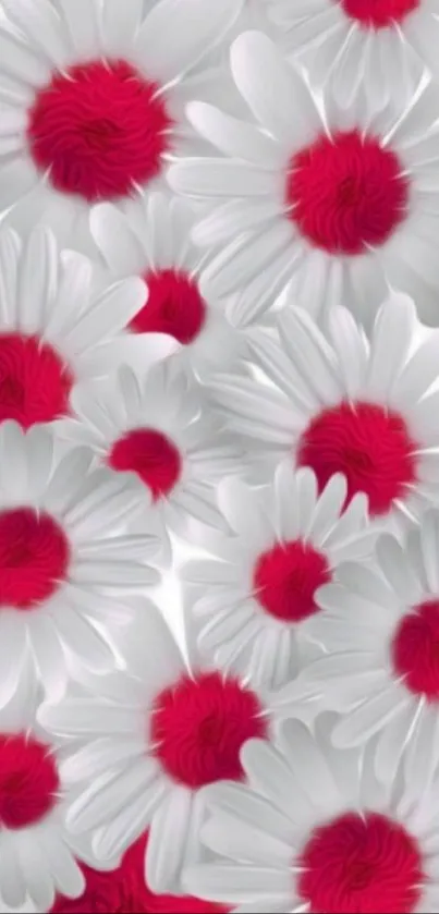 White daisies with vivid red centers create a vibrant phone wallpaper.