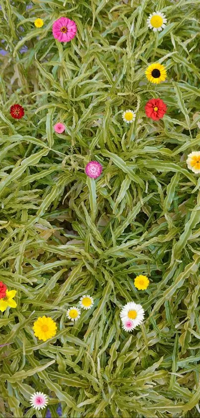 Vibrant floral wallpaper with green leaves and colorful flowers.