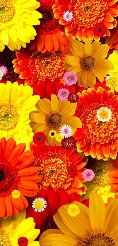 A vibrant floral wallpaper with red, yellow, and orange flowers.