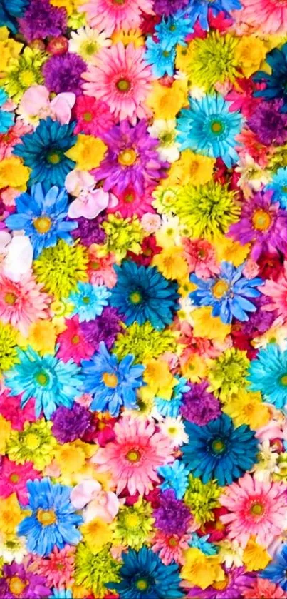 Vibrant colorful floral phone wallpaper.