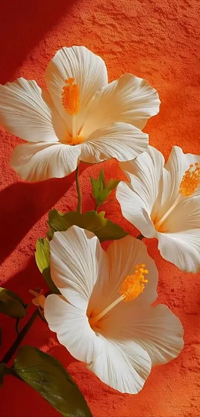 White flowers on orange background mobile wallpaper.