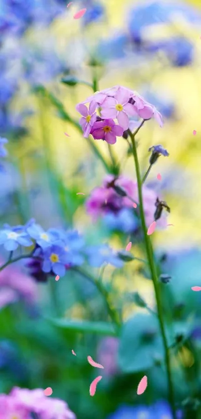 Colorful floral wallpaper with pink and blue flowers in a nature scene.