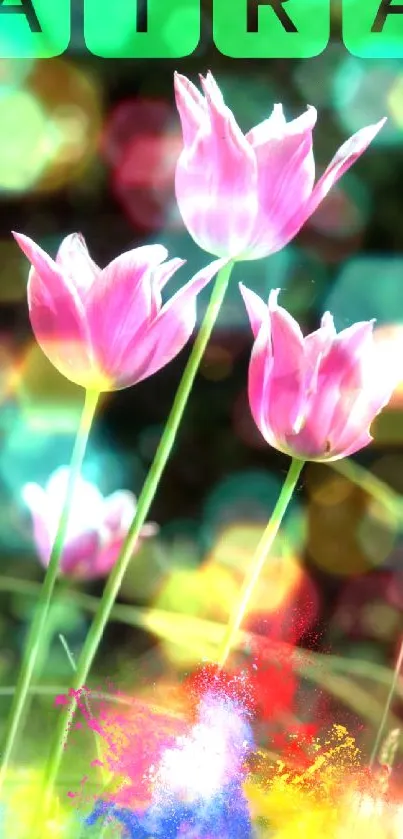 Pink tulips with vibrant colors on a phone wallpaper.