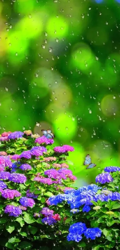 Colorful hydrangeas with raindrops and a vibrant bokeh background.