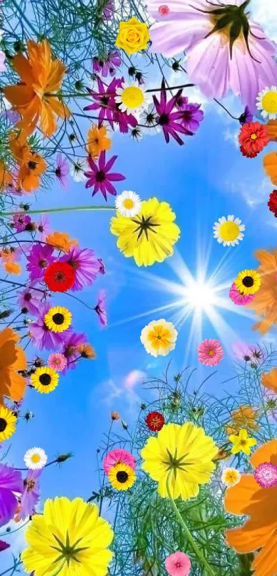 Vibrant flowers against a blue sky with sun.