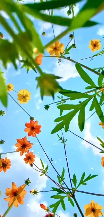 Vibrant flowers bloom against a blue sky.