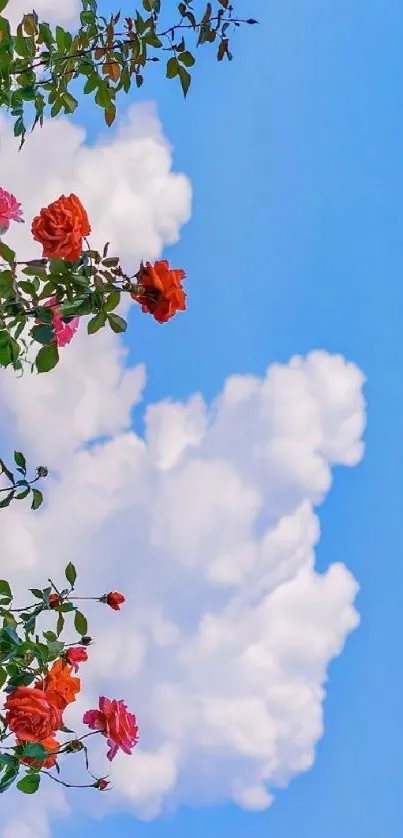 Vibrant floral sky wallpaper with roses and blue sky.