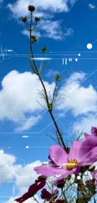 Vibrant flowers blooming against a bright blue sky with scattered clouds.