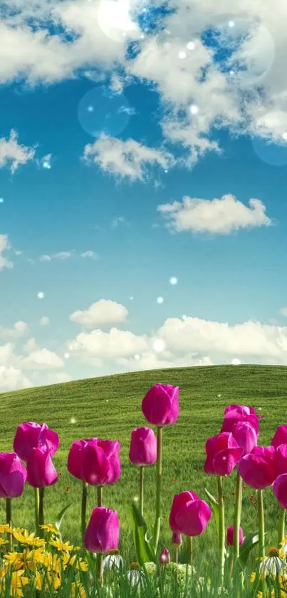 Colorful floral field under a bright blue sky with clouds.