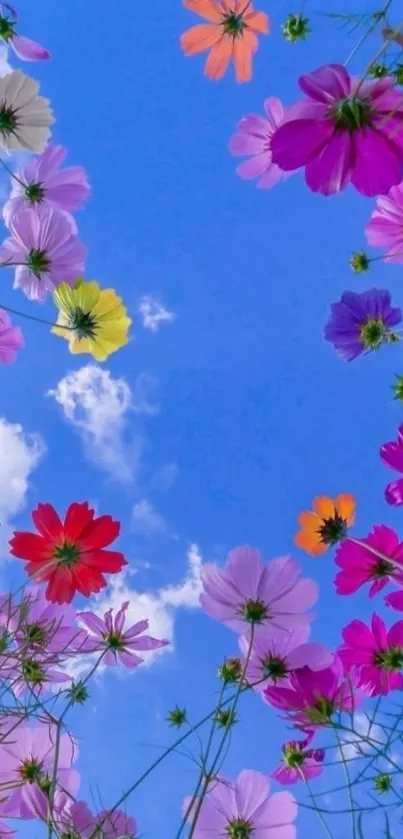 Colorful flowers against a blue sky with clouds.