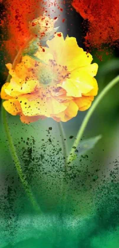 Yellow flower with vibrant red and green splashes on a mobile wallpaper.