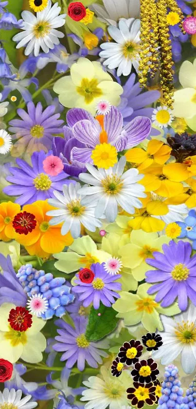 Bright floral wallpaper with purple, yellow, and white flowers.