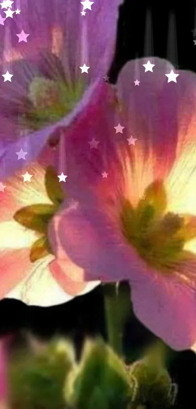 Pink flowers with starry night background on phone wallpaper.