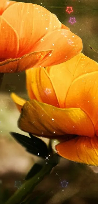 Bright orange flowers with a starry background on mobile wallpaper.