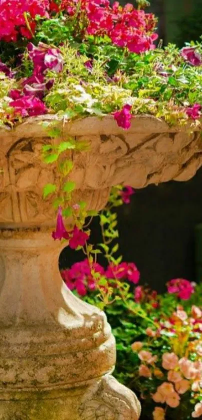 Red and pink flowers in elegant stone planter with greenery.