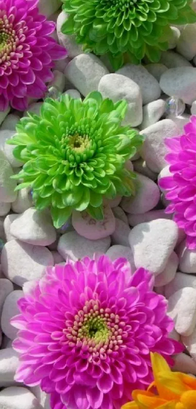 Colorful floral wallpaper with stones.