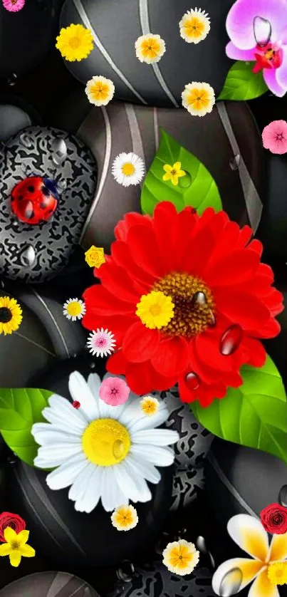 Colorful flowers on black stones wallpaper.