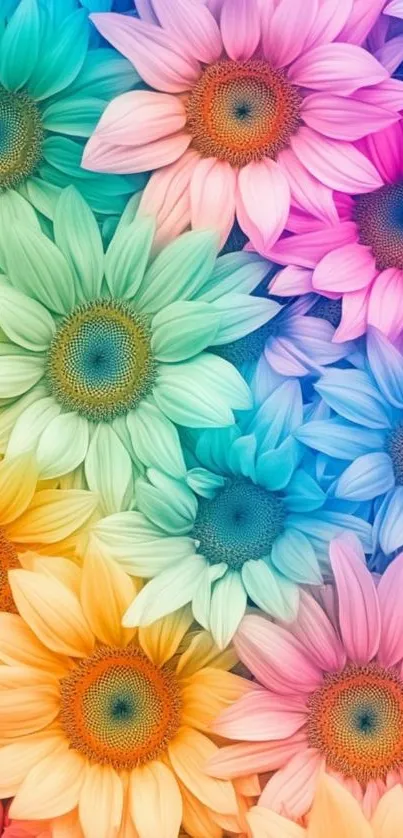 Colorful vibrant sunflower art wallpaper