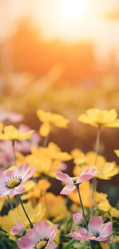 Lush pink and yellow flowers under a vibrant sunrise.