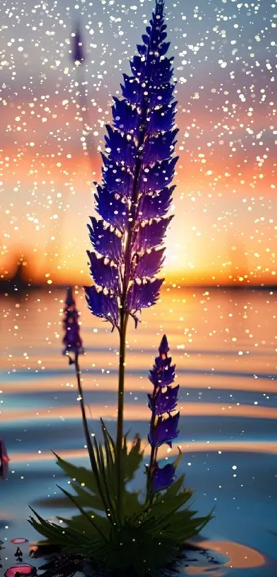 Blue flower in serene sunset on water ripples wallpaper.