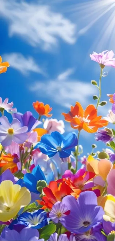 Vibrant colorful flowers under a bright sunny sky.