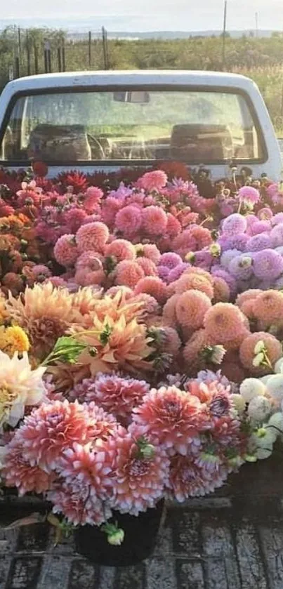 Colorful flowers fill a truck bed in a scenic outdoor setting.