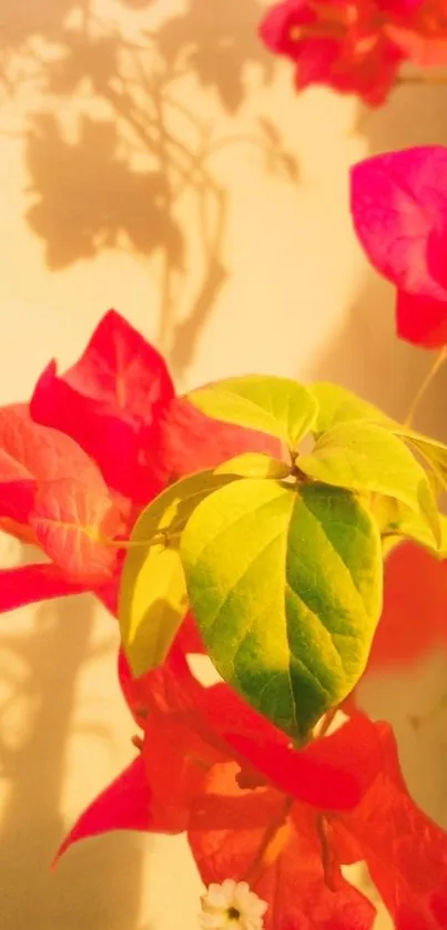 Vibrant red and green leaves with beige shadowy background.