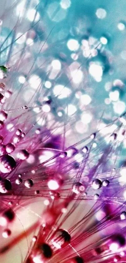 Vibrant wallpaper with purple, pink and cyan hues featuring water droplets.