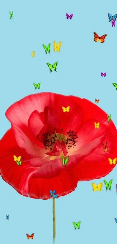 Vibrant red flower with colorful butterflies on a sky blue background.