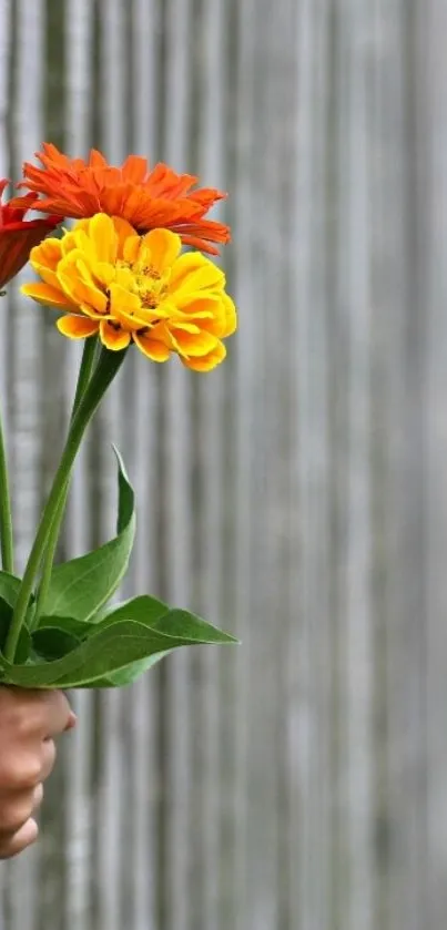 Hand holding vibrant flowers against rustic wood.