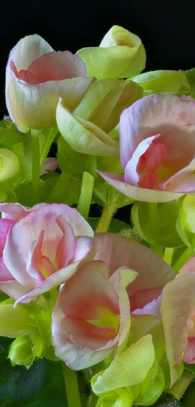 Vibrant green and pink flower bouquet wallpaper.