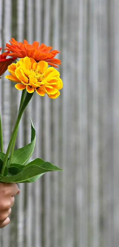 Vibrant bouquet of red, orange, and yellow flowers against a rustic fence.