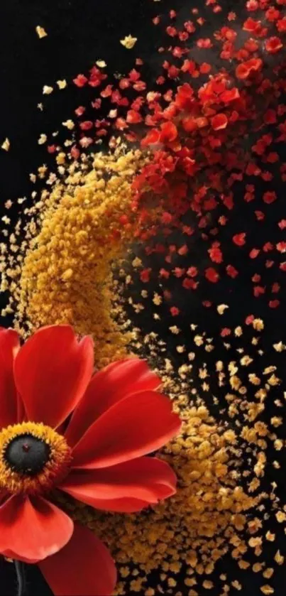Red flowers burst against black background.