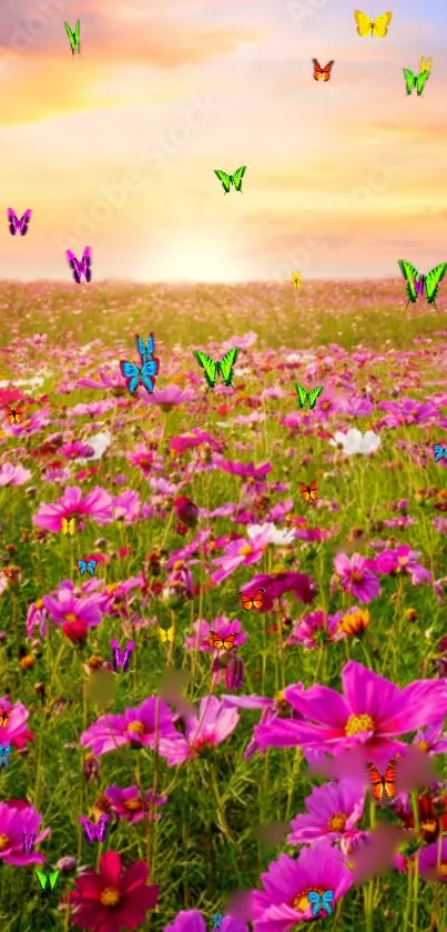 Pink flowers and butterflies during sunset.