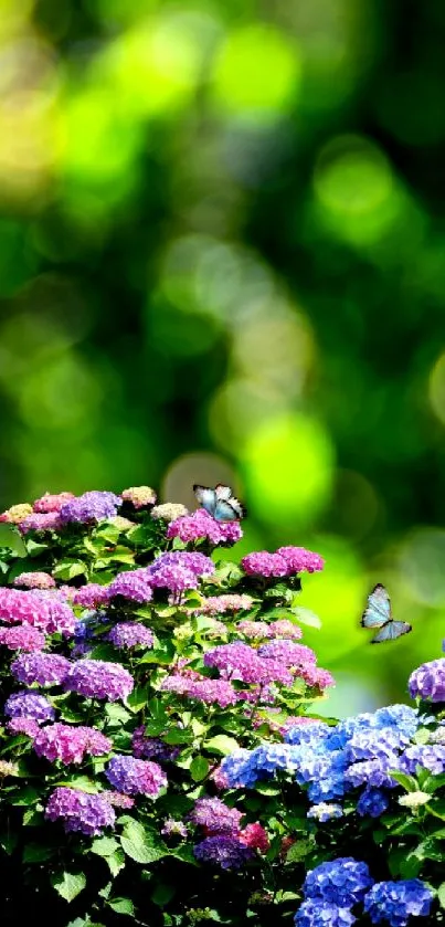 Colorful flowers and butterflies in a lush, vibrant garden scene.