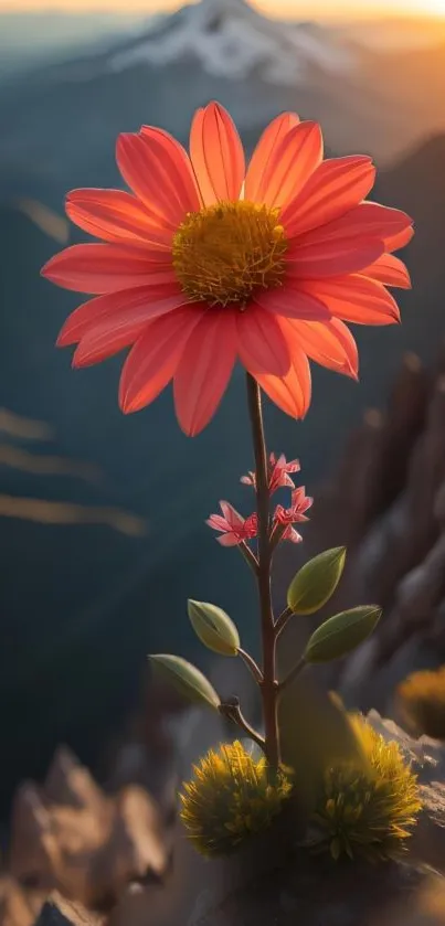 A vibrant flower blooms at sunset in a stunning mountain landscape.