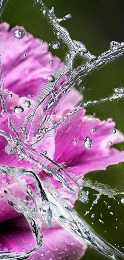 Purple flower with water splash on phone wallpaper.