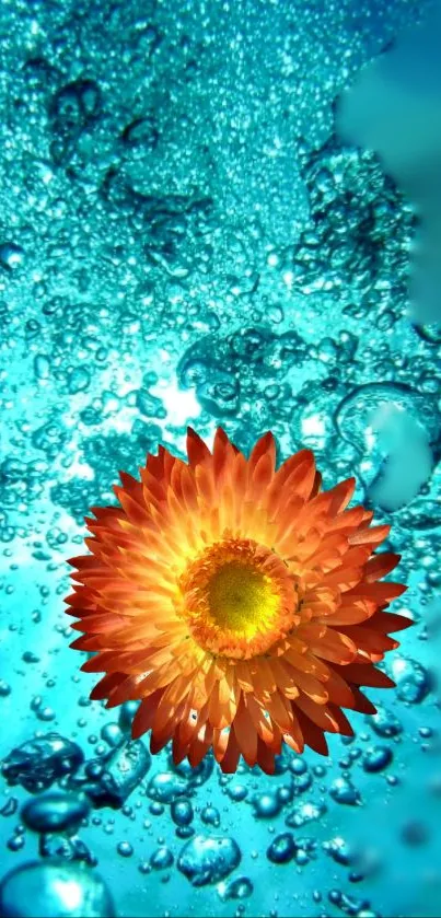 Orange flower submerged in vibrant blue bubbles