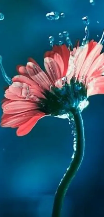 Vibrant pink flower splashing in water against a deep blue background.