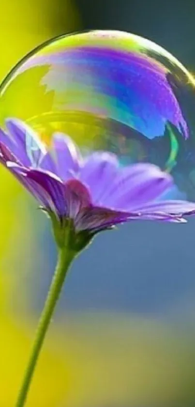 Purple flower with a rainbow-colored bubble against a bright background.