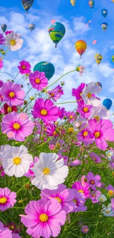 Pink and white flowers beneath colorful hot air balloons in a blue sky.