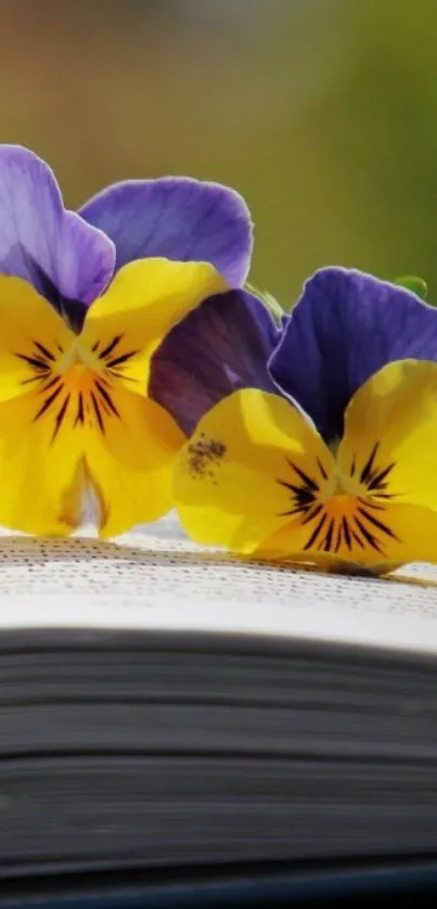 Yellow and purple flowers lying on an open book, vibrant and colorful.